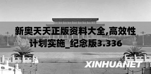 新奥天天正版资料大全,高效性计划实施_纪念版3.336