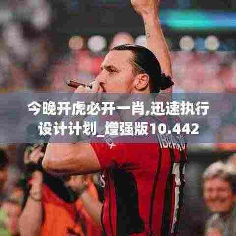 今晚开虎必开一肖,迅速执行设计计划_增强版10.442