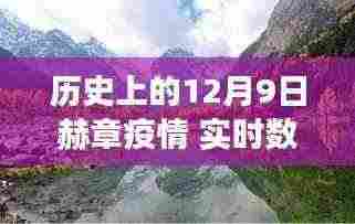 历史上的十二月九日赫章疫情实时数据与小巷深处的特色小店探秘之旅