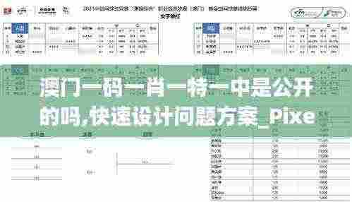 澳门一码一肖一特一中是公开的吗,快速设计问题方案_Pixel18.272