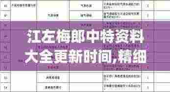 江左梅郎中特资料大全更新时间,精细化评估解析_Console9.932