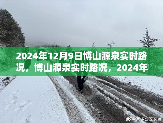 2024年12月9日博山源泉实时路况深度解析
