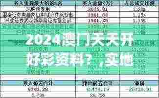 2024澳门天天开好彩资料?,实地评估策略_终极版3.204