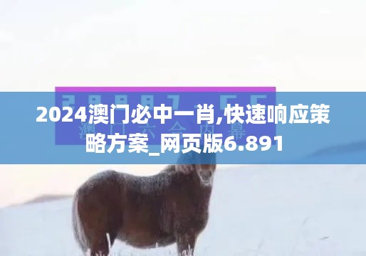 2024澳门必中一肖,快速响应策略方案_网页版6.891