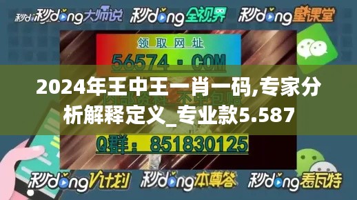 2024年王中王一肖一码,专家分析解释定义_专业款5.587