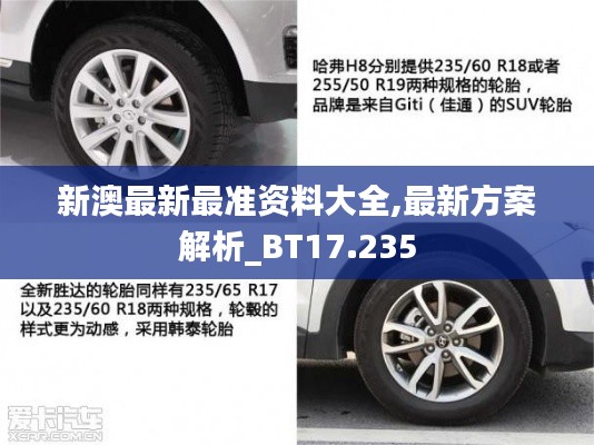 新澳最新最准资料大全,最新方案解析_BT17.235