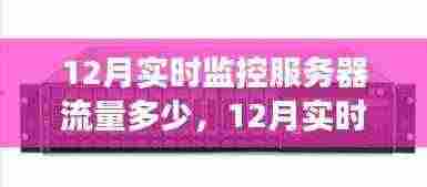 深入剖析,12月实时监控服务器流量的价值、挑战及观点阐述