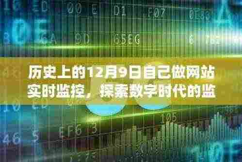 历史视角下的网站实时监控，探索数字时代的监控之路与观点分析