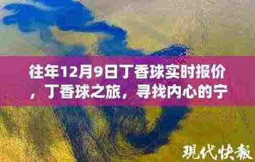 丁香球之旅，探寻内心宁静与自然馈赠的实时报价