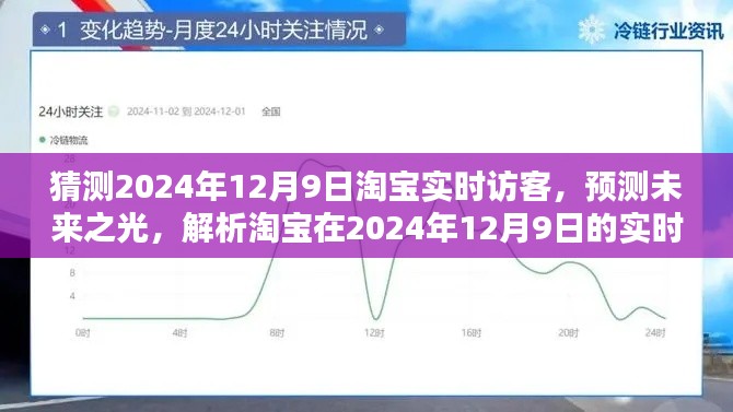 淘宝未来访客趋势解析,预测2024年12月9日实时访客展望