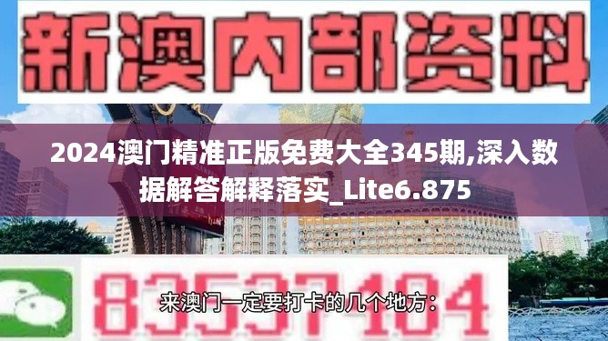 2024澳门精准正版免费大全345期,深入数据解答解释落实_Lite6.875