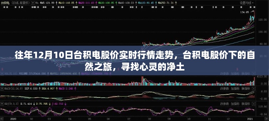 台积电股价动态,探寻心灵净土的股市走势之旅
