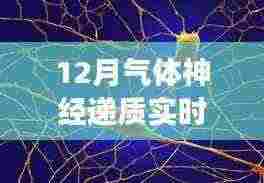 探秘小巷深处的神秘小店,揭秘气体神经递质的实时分析之旅