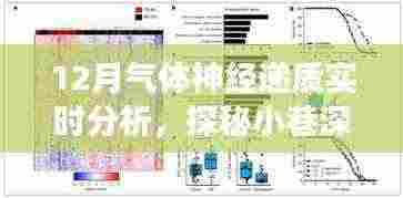 探秘小巷深处的神秘小店,揭秘气体神经递质的实时分析之旅
