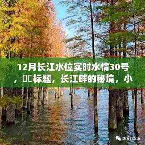 长江畔秘境,水位变化中的小巷特色小店故事(实时水情报道)
