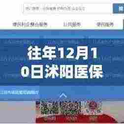 沭阳医保实时结算，历年12月10日的深度解析与实时结算概况