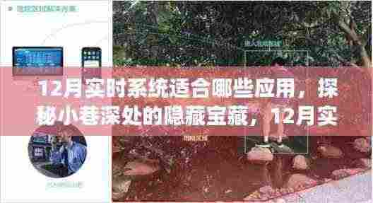 探秘十二月实时系统应用领域与小巷深处的独特小店宝藏之旅