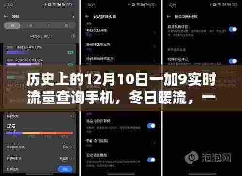 冬日温情陪伴,12月10日手机流量查询新体验