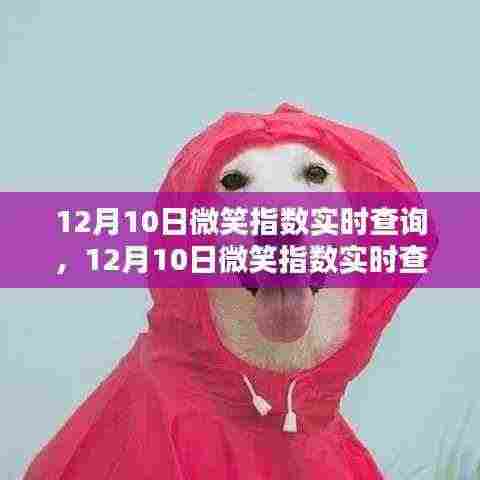 科技新宠,微笑指数实时查询,点亮生活之光