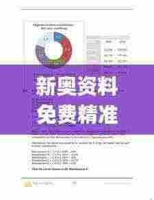 新奥资料免费精准大全,详细解读定义方案_VE版4.200