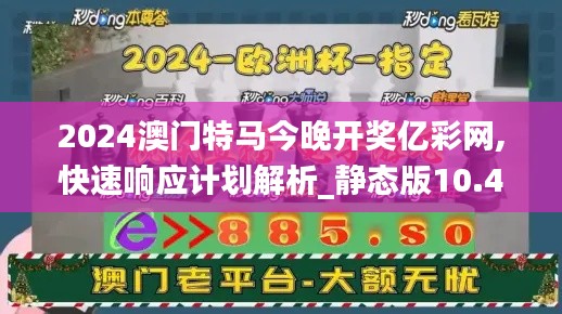 2024澳门特马今晚开奖亿彩网,快速响应计划解析_静态版10.421