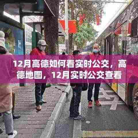 高德地图实时公交查看攻略，12月版查看指南
