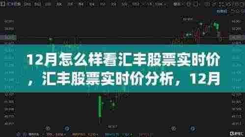 12月汇丰股票实时价观察指南,全面分析与观察策略