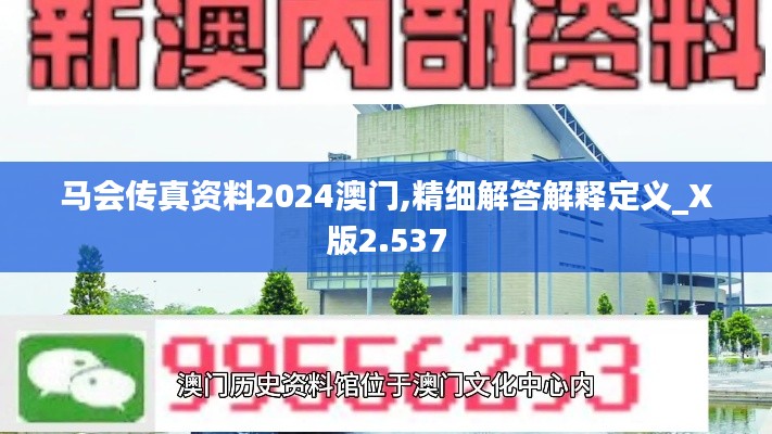 马会传真资料2024澳门,精细解答解释定义_X版2.537