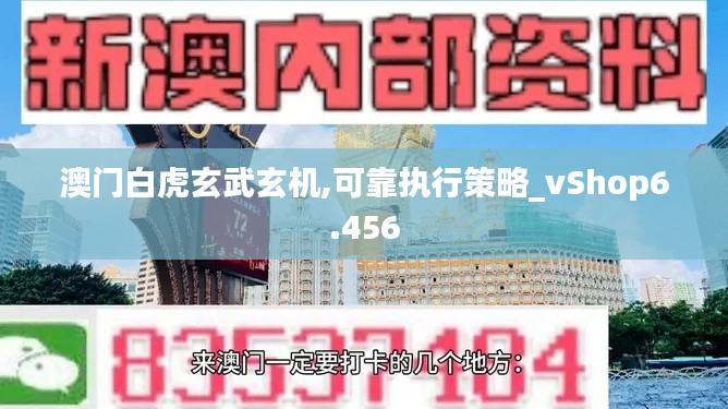 澳门白虎玄武玄机,可靠执行策略_vShop6.456