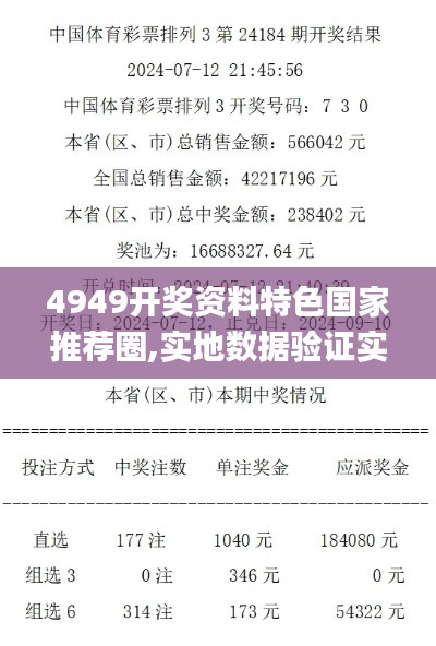4949开奖资料特色国家推荐圈,实地数据验证实施_V10.843