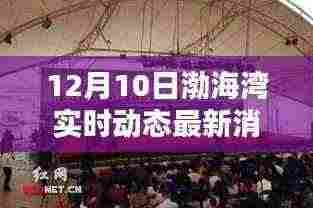 渤海湾畔奇遇，暖阳下的温情纽带与最新动态消息