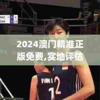 2024澳门精准正版免费,实地评估数据策略_经典款5.832