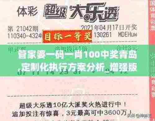 管家婆一码一肖100中奖青岛,定制化执行方案分析_增强版11.811