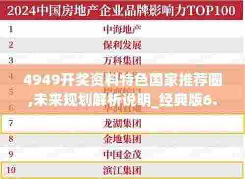 4949开奖资料特色国家推荐圈,未来规划解析说明_经典版6.202