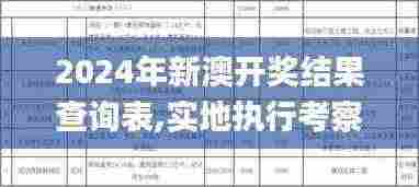 2024年新澳开奖结果查询表,实地执行考察方案_WearOS4.277