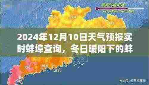 天气预报下的温情奇遇,蚌埠冬日暖阳与友情相伴的奇遇故事