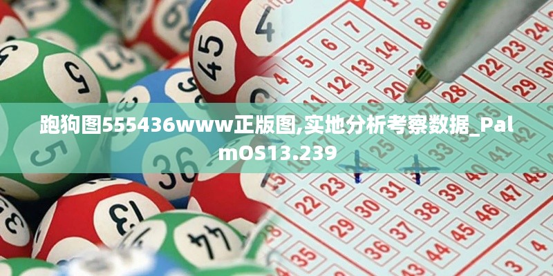 跑狗图555436www正版图,实地分析考察数据_PalmOS13.239