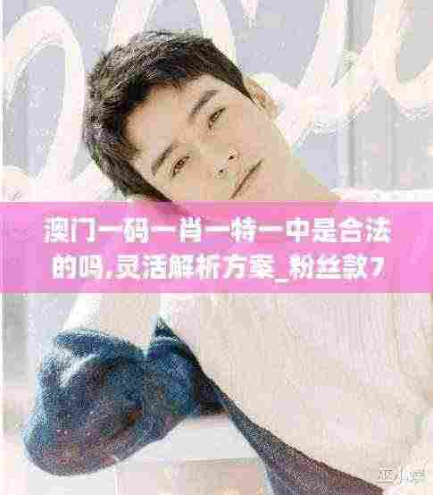 澳门一码一肖一特一中是合法的吗,灵活解析方案_粉丝款7.924