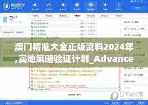 澳门精准大全正版资料2024年,实地策略验证计划_Advance16.600