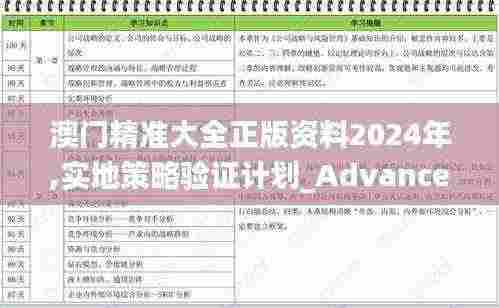 澳门精准大全正版资料2024年,实地策略验证计划_Advance16.600
