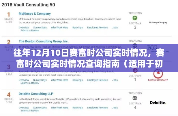 赛富时公司实时情况解析与查询指南,面向初学者与进阶用户的实用指南