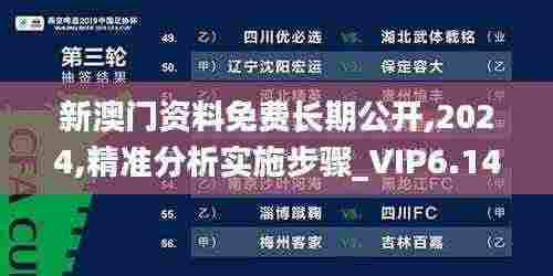 新澳门资料免费长期公开,2024,精准分析实施步骤_VIP6.143