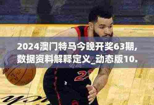 2024澳门特马今晚开奖63期,数据资料解释定义_动态版10.339