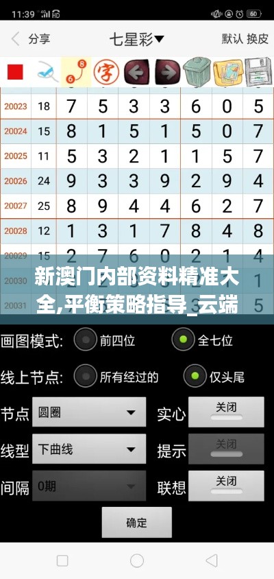 新澳门内部资料精准大全,平衡策略指导_云端版3.341
