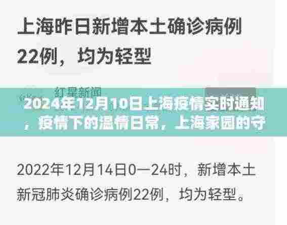 上海家园温情日常,疫情下的守护与陪伴(实时通知)