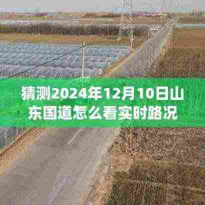 ​​山东国道未来展望与实时路况深度解析，预测未来之路（2024年视角）