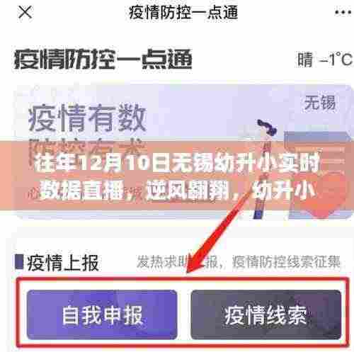 逆风翱翔,无锡幼升小实时数据直播背后的励志故事与力量展望