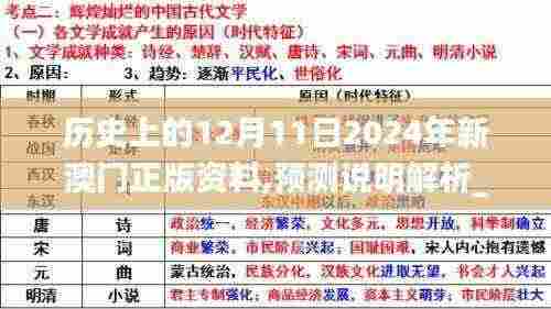 历史上的12月11日2024年新澳门正版资料,预测说明解析_优选版3.305