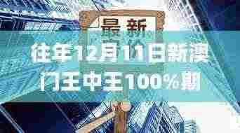 往年12月11日新澳门王中王100%期期中,实地分析数据设计_pro2.513