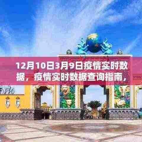 从12月10日至3月9日疫情实时数据查询指南,操作流程详解